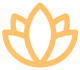 flower flower